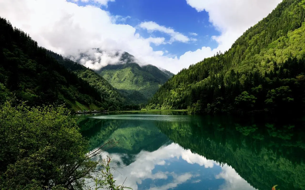 科技高效
